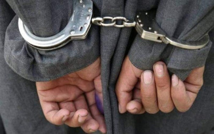 بازداشت 3 سارقان اماکن مسکونی و دولتی در بویین زهرا