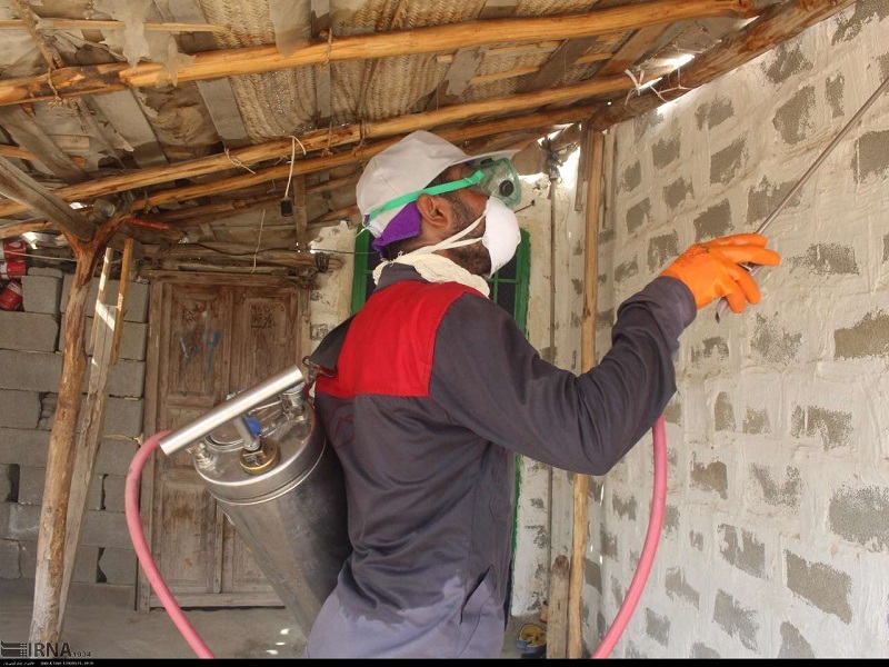 اقدامهای مقابلهای با بیماری سالک در ۴۷ روستای سرپلذهاب انجام شد