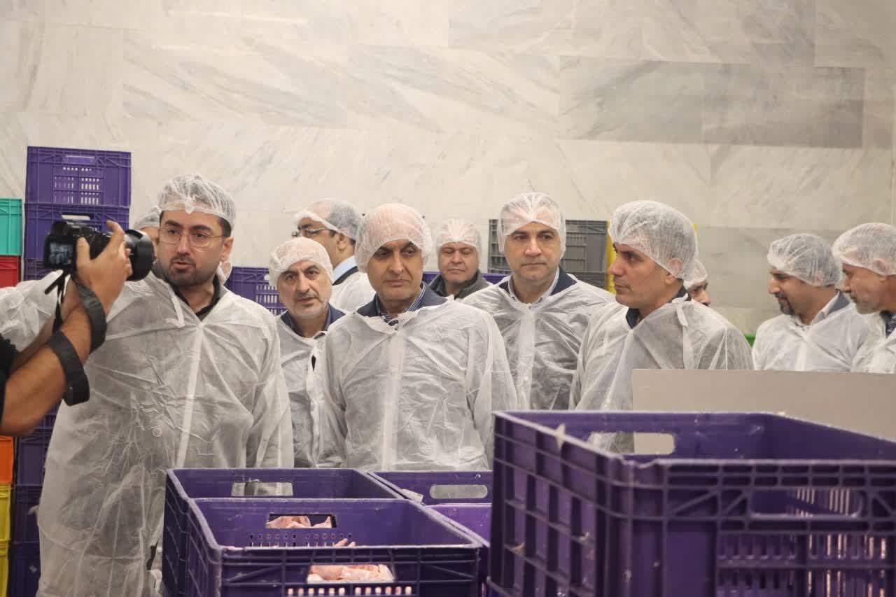 حمایت از تولید داخلی، تقویت امنیت غذایی کشور است/کمک به تولیدکنندگان، ثبات در سفره مردم است