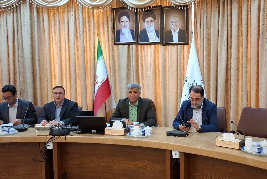 جلوگیری از مهاجرت روستائیان با جذب سرمایه&zwnj;های خصوصی