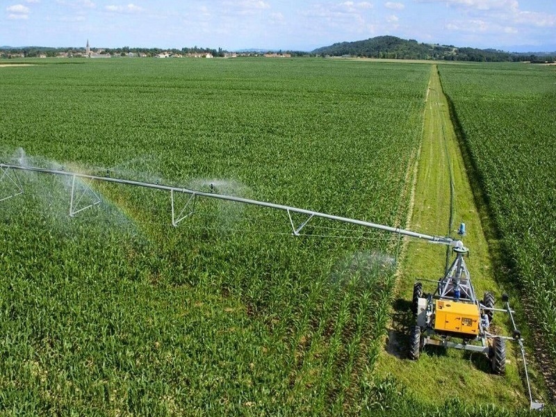 جهان خواهان محصولات غذایی ایرانی است/ 800 میلیون نفر در دنیا گرفتار سوء&zwnj;تغذیه هستند