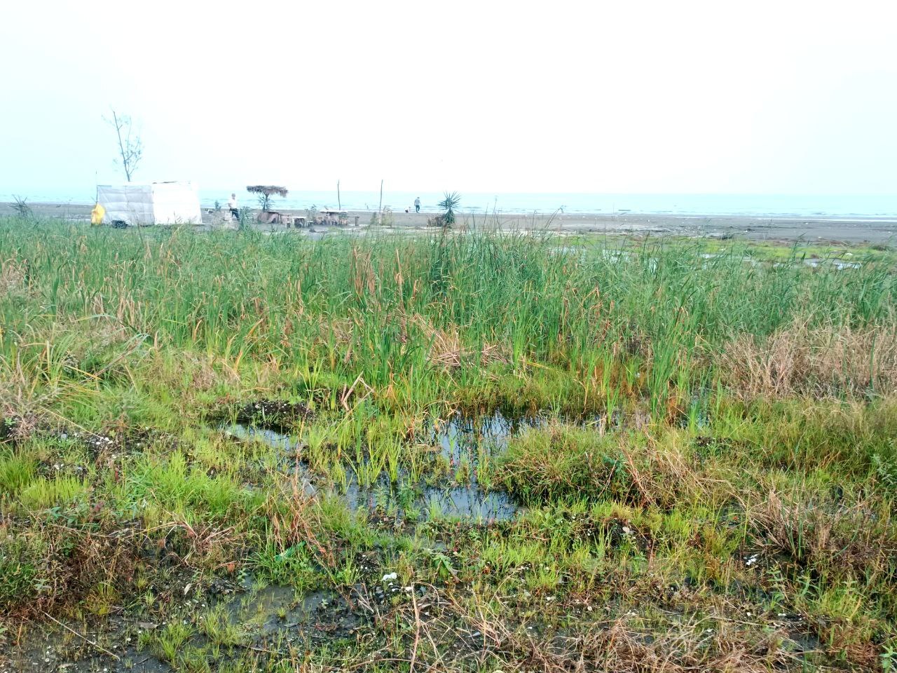 عقب&zwnj;نشینی ۲۰۰ متری خزر در شمال کشور/هشدار بزرگ برای شمال ایران